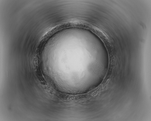 X0000112490776200908311431