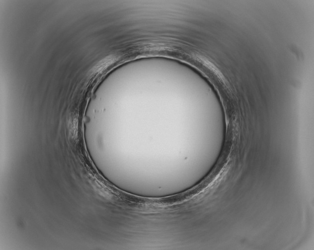 X0000112490777200908311431