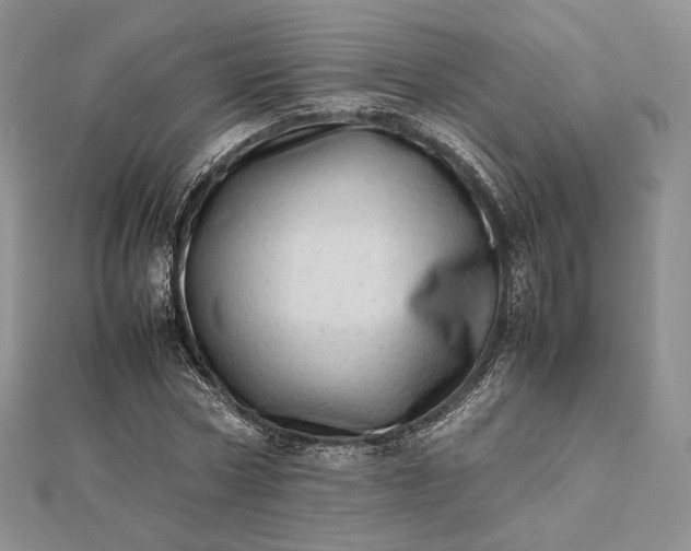 X0000112490778200908311431