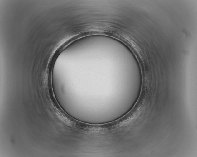 X0000112490779200908311431