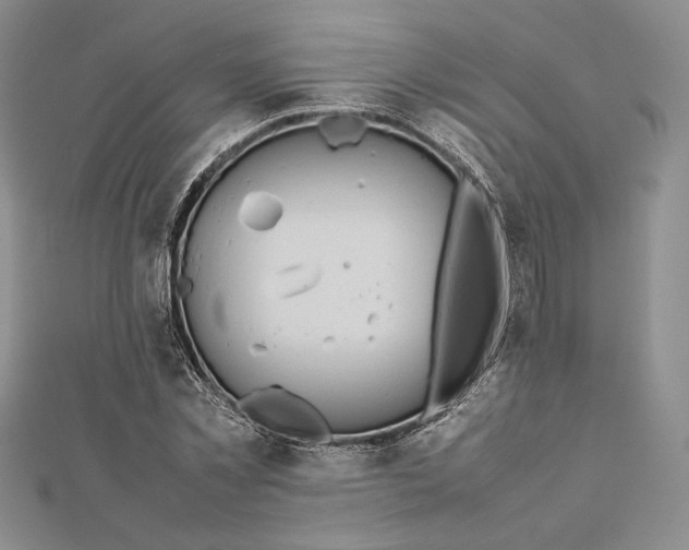 X0000112490781200908311431