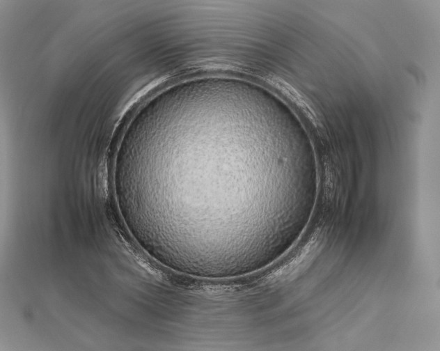 X0000112490782200908311431