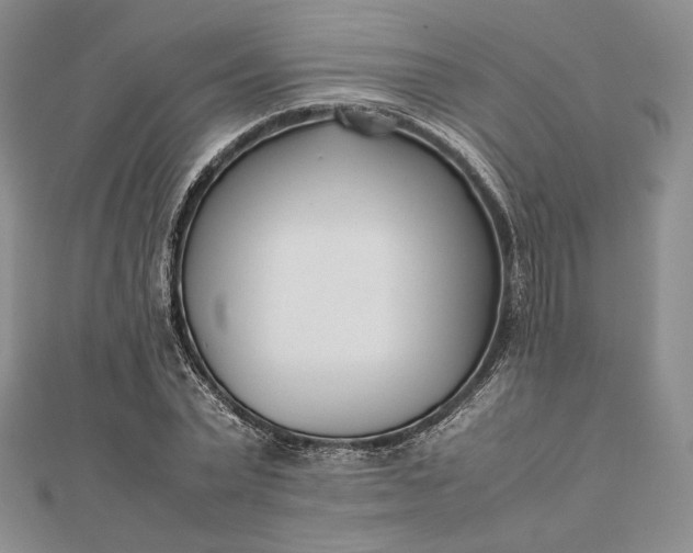 X0000112490783200908311431