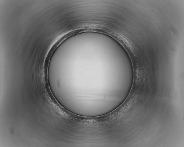 X0000112490784200908311431