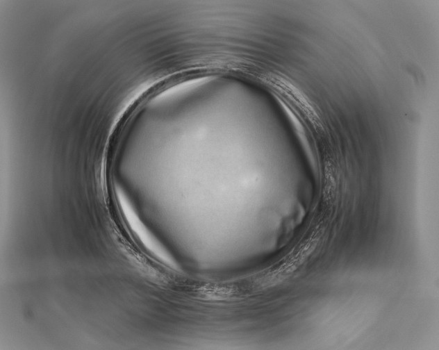 X0000112490788200908311431