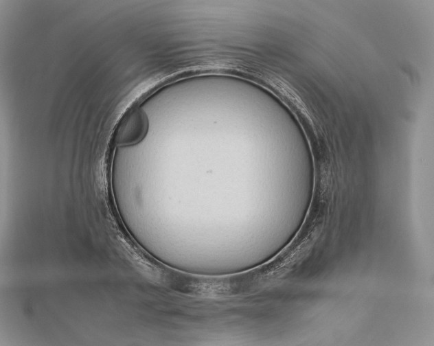 X0000112490789200908311431