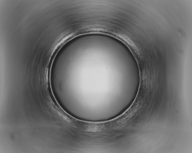 X0000112490790200908311431