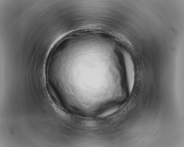 X0000112490792200908311431