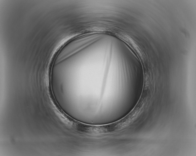 X0000112490795200908311431