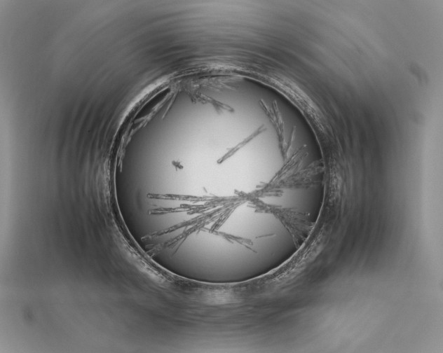 X0000112490798200908311431