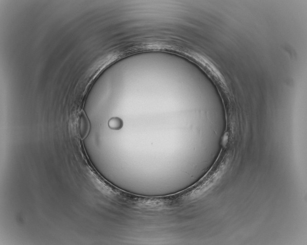 X0000112490801200908311430