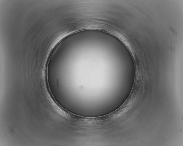 X0000112490803200908311430