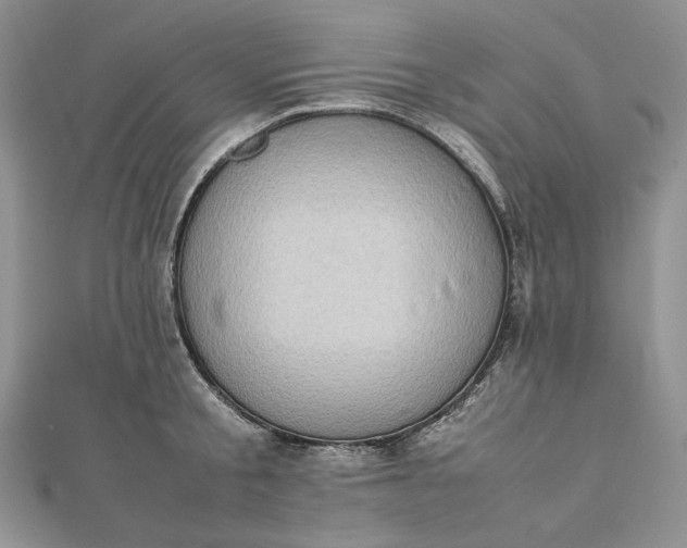 X0000112490805200908311430