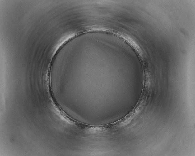 X0000112490806200908311430