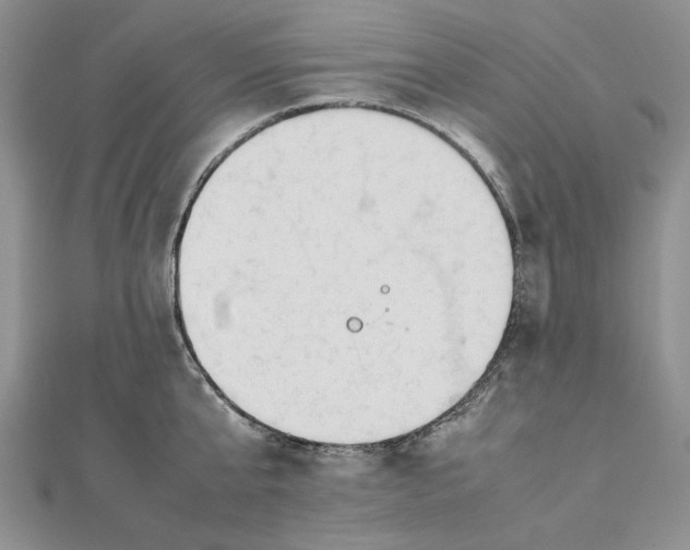 X0000112490807200908311430