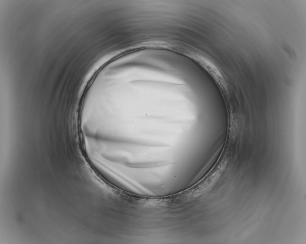 X0000112490808200908311430