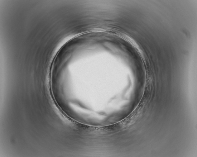 X0000112490811200908311430