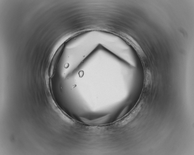 X0000112490812200908311430