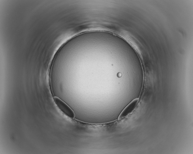 X0000112490813200908311430