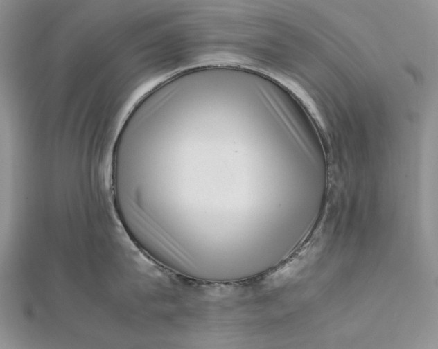 X0000112490815200908311430