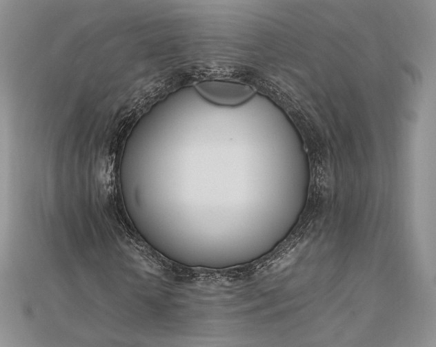 X0000112490818200908311430