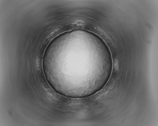 X0000112490819200908311430