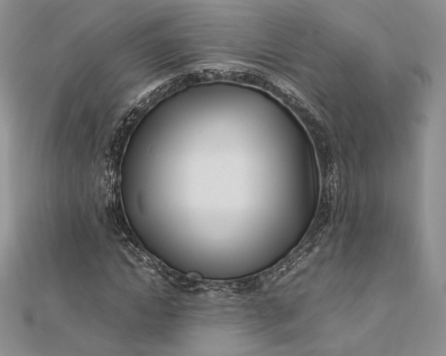 X0000112490822200908311430