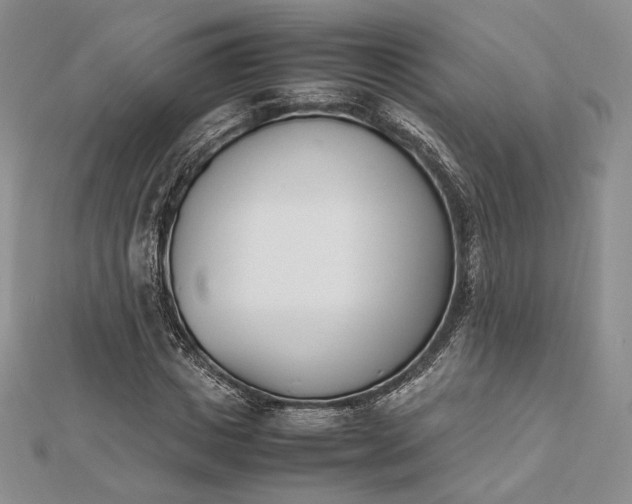 X0000112490825200908311430