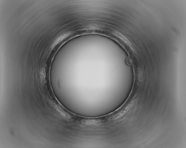 X0000112490826200908311430