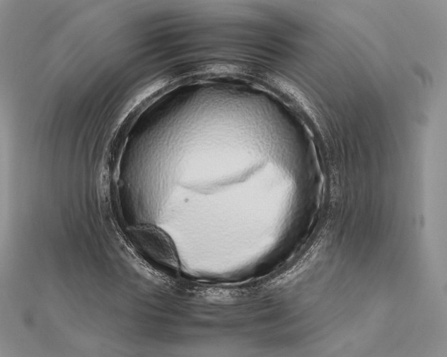 X0000112490827200908311430