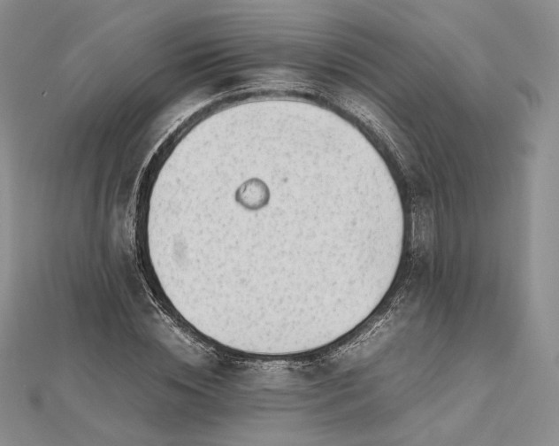 X0000112490828200908311430