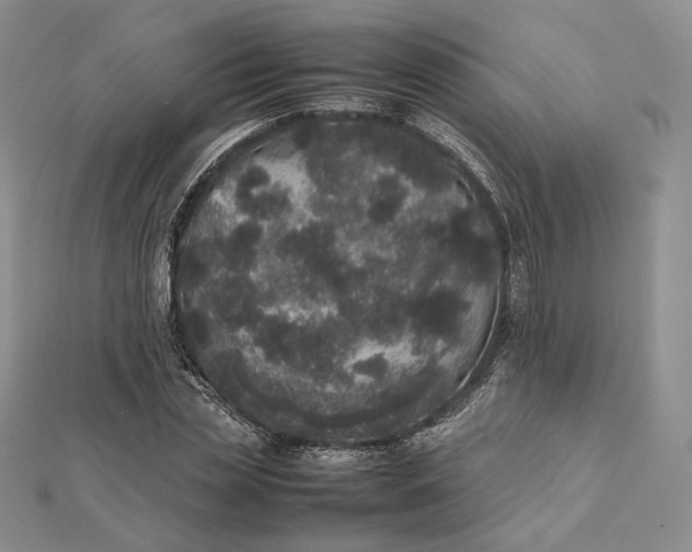 X0000112490829200908311430