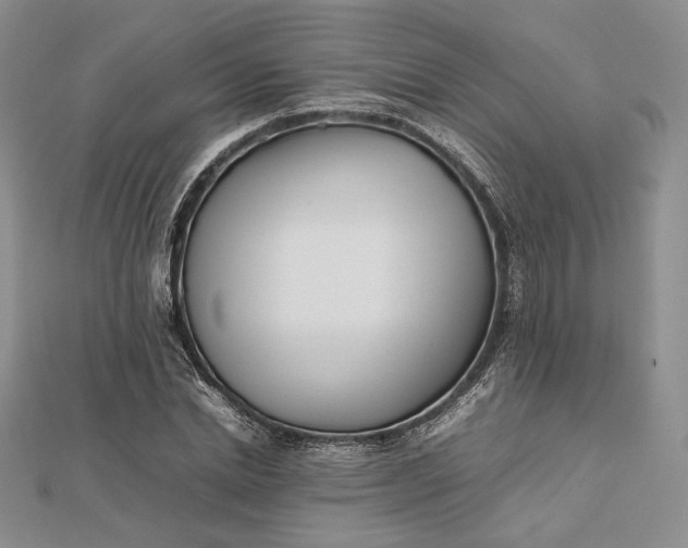 X0000112490830200908311430