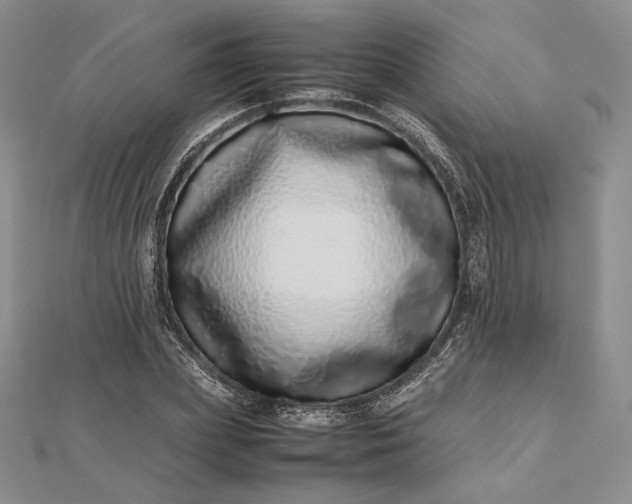 X0000112490831200908311430