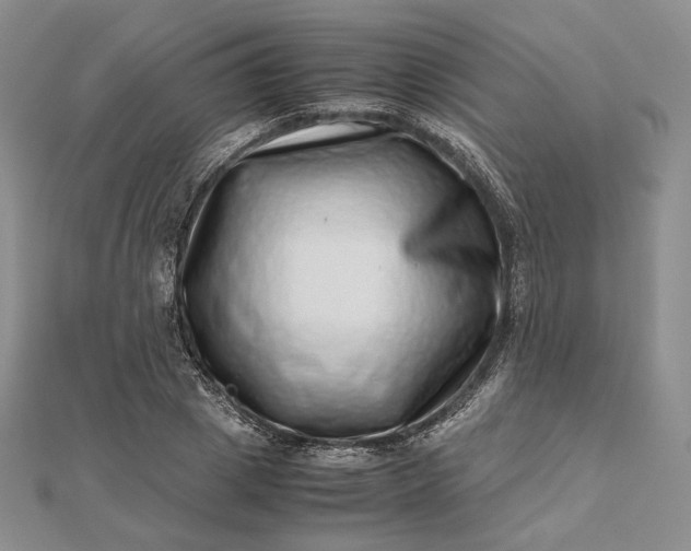 X0000112490833200908311430