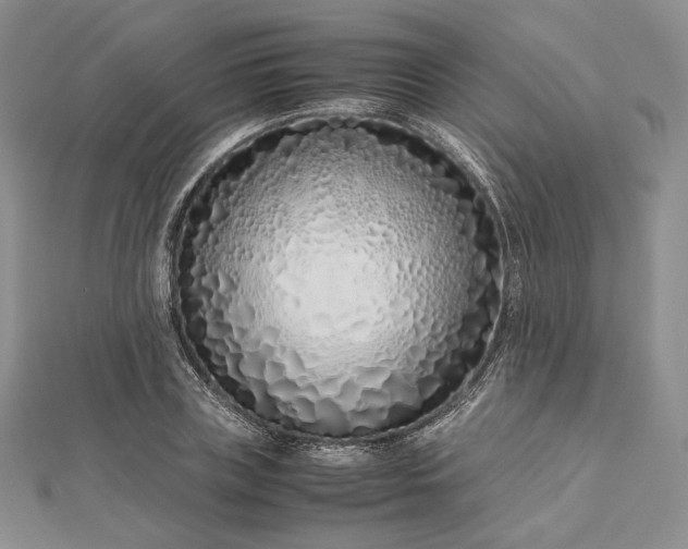 X0000112490835200908311430