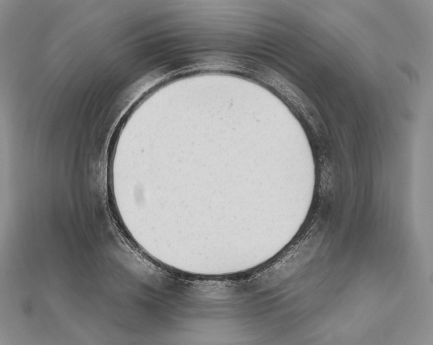 X0000112490836200908311430