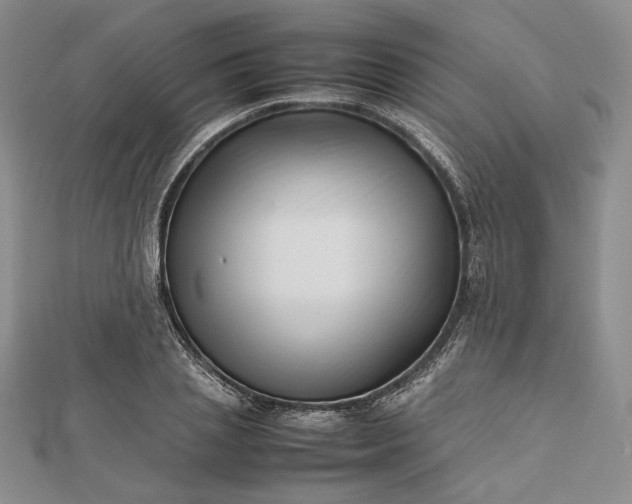 X0000112490837200908311430