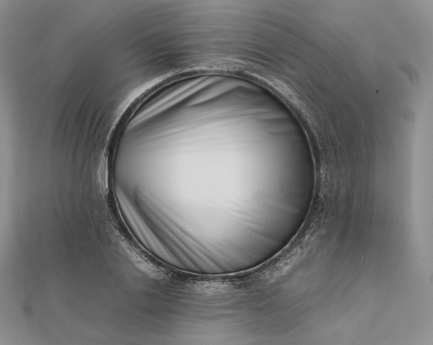 X0000112490838200908311430