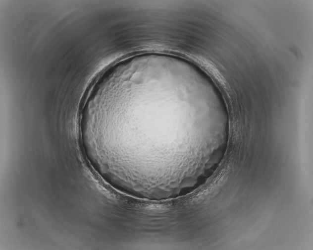 X0000112490839200908311430