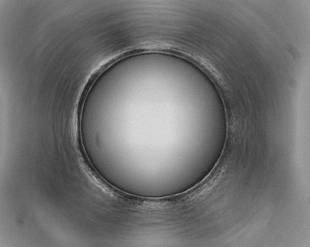 X0000112490840200908311430