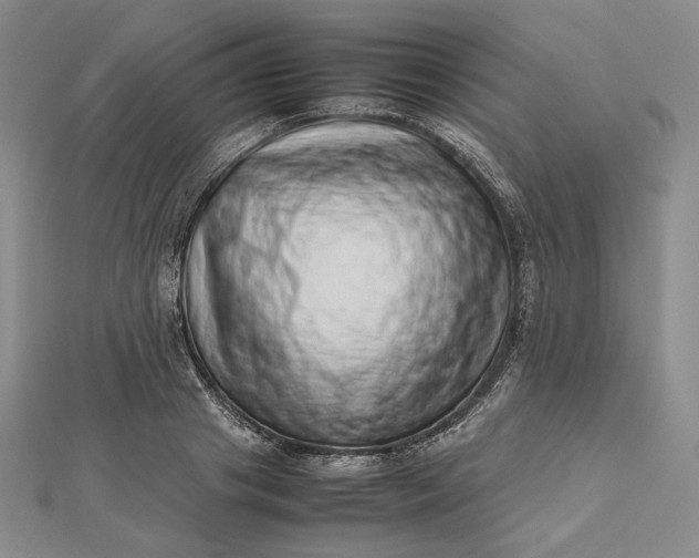 X0000112490841200908311430