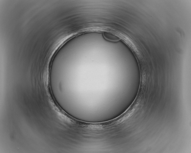 X0000112490844200908311430