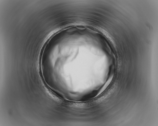 X0000112490845200908311430