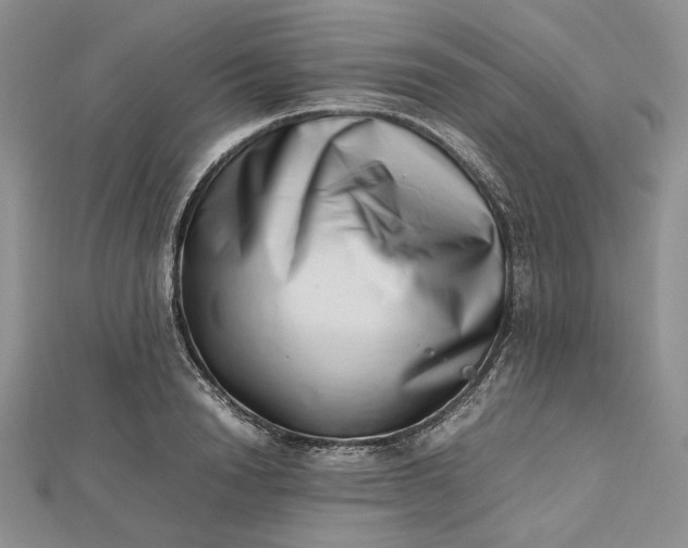 X0000112490846200908311430