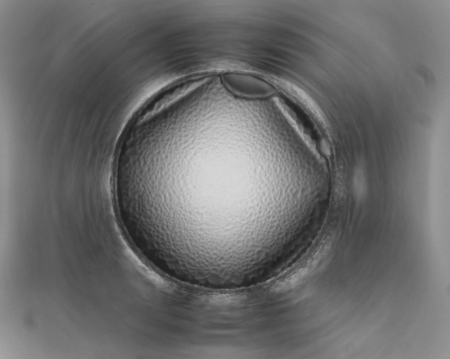 X0000112490847200908311430