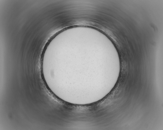 X0000112490848200908311430