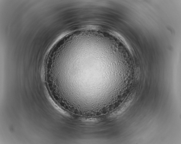 X0000112490851200908311430