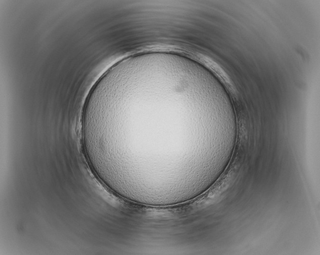 X0000112490852200908311430