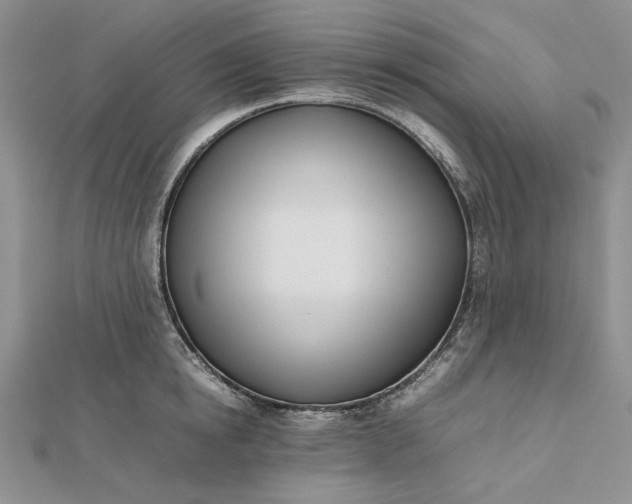 X0000112490854200908311430